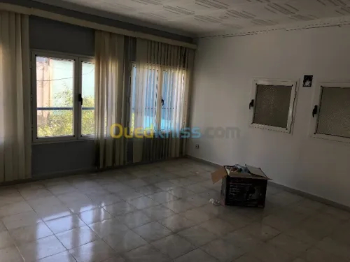 Location Hangar Alger Dar el beida