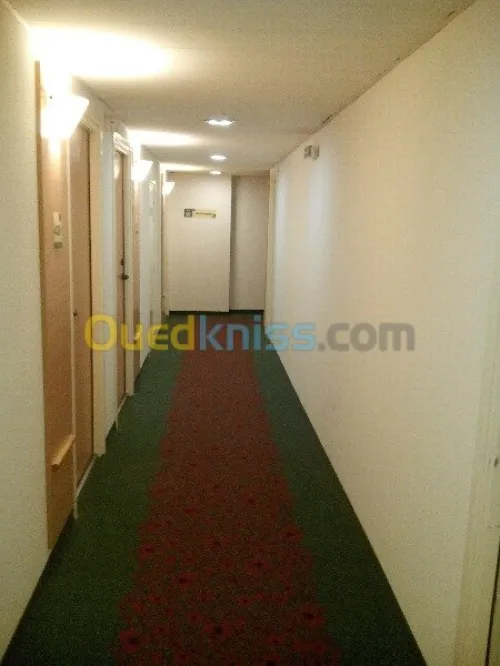 parquet revetement murale