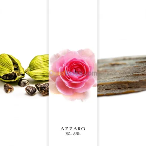 Parfum Original pour Femmes