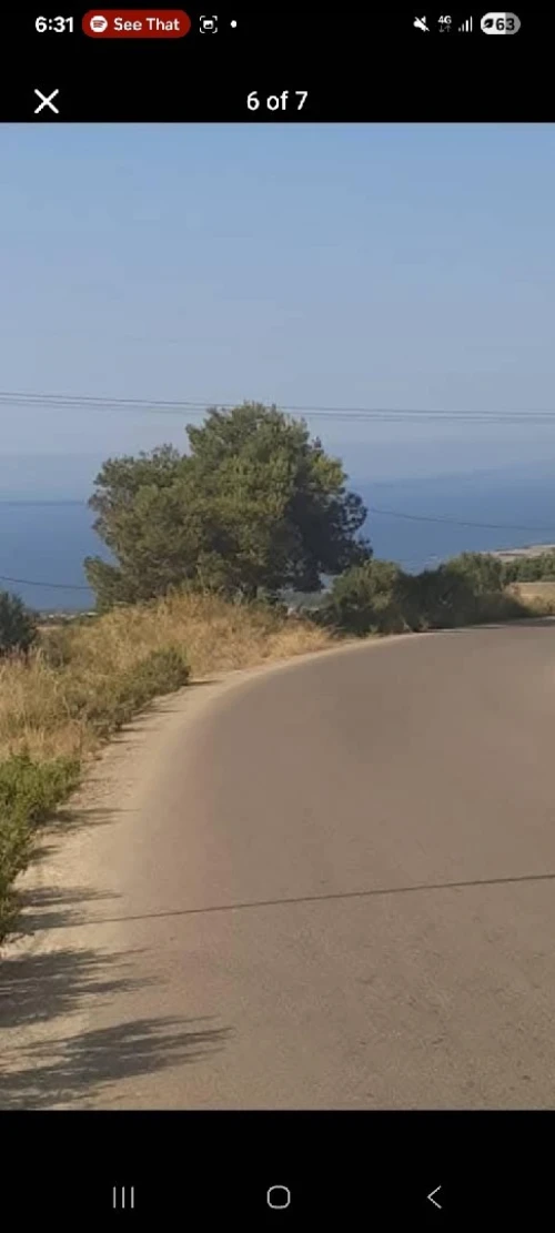 Vente Terrain Tipaza Sidi ghiles