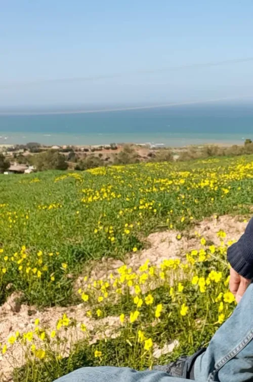 Vente Terrain Tipaza Sidi ghiles