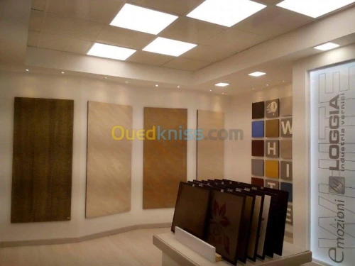 Placo-plâtre,parquet,peinture...