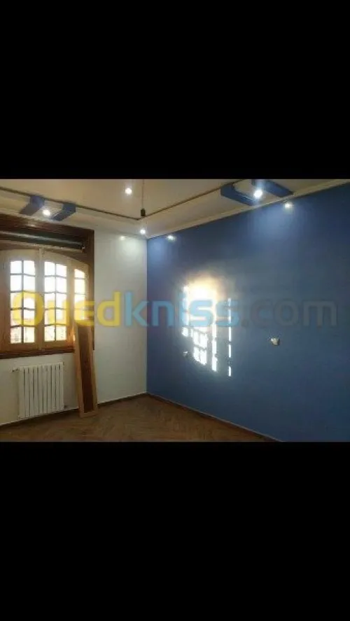 Peinture maison, batiments & placo