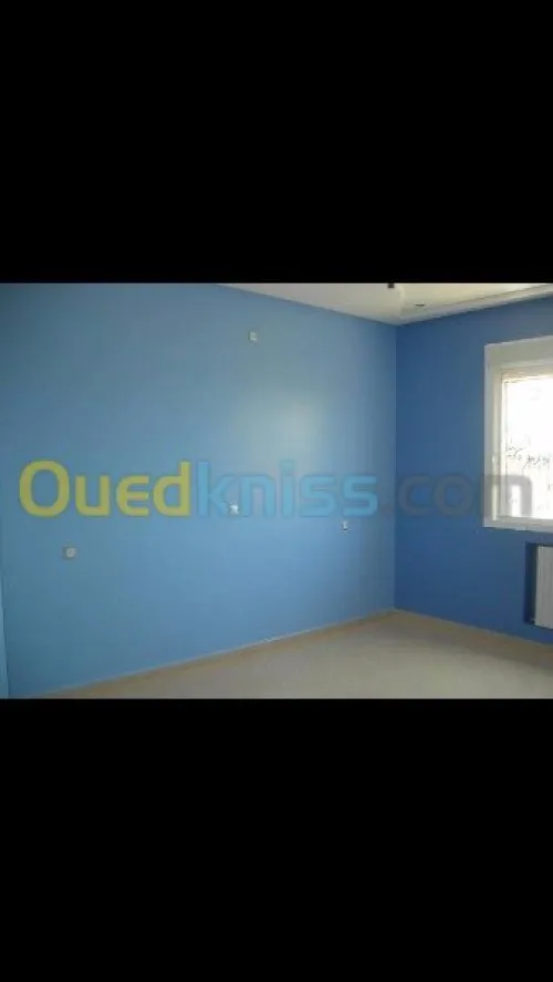 Peinture maison, batiments & placo