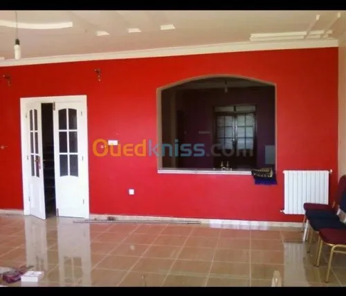 Peinture maison, batiments & placo