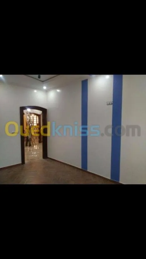 Peinture maison, batiments & placo