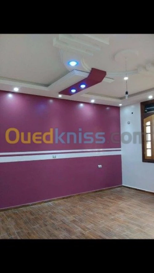 Peinture maison, batiments & placo