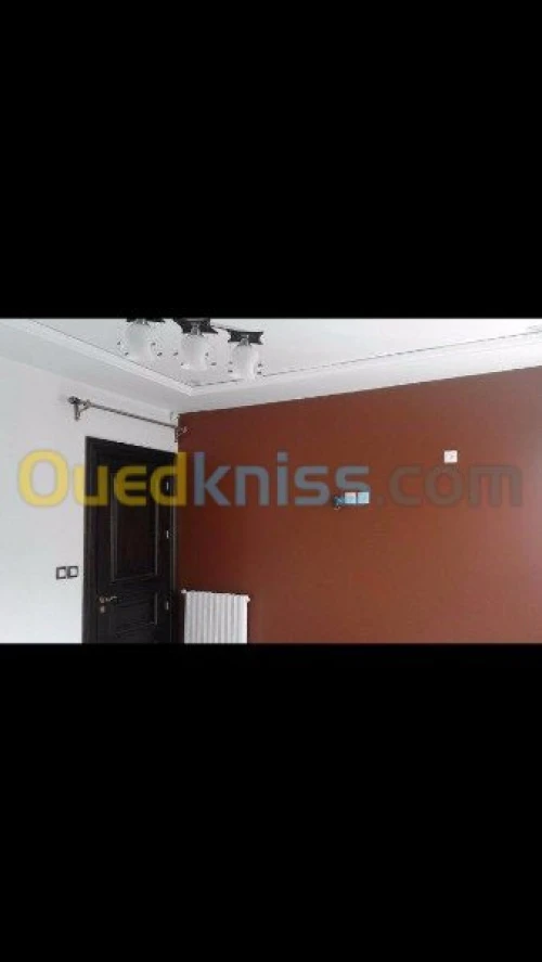 Peinture maison, batiments & placo