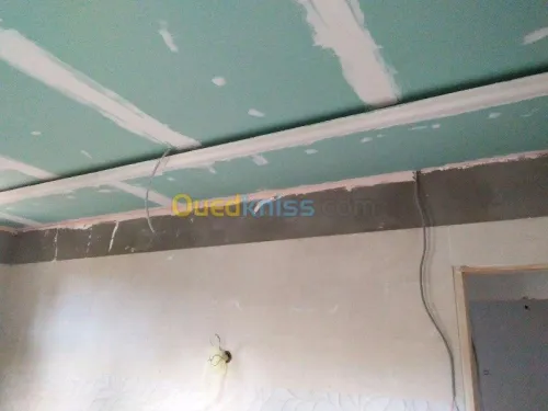 Placoplatre faux plafond BA13