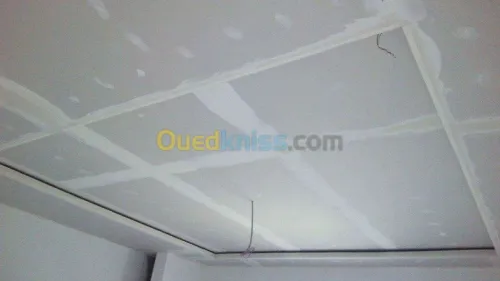 Placoplatre faux plafond BA13