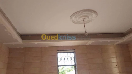 Placoplatre faux plafond BA13