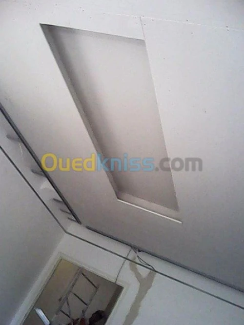 Placoplatre faux plafond BA13