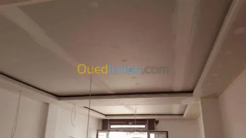 Placoplatre faux plafond BA13