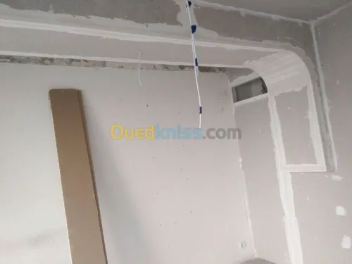 Placoplatre faux plafond BA13