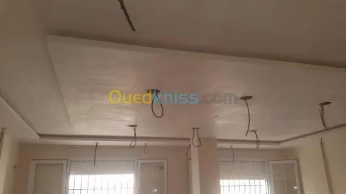 Placoplatre faux plafond BA13