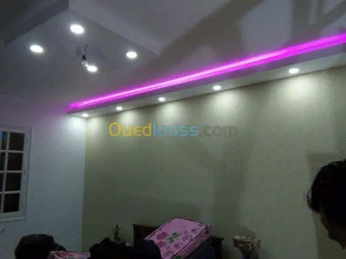 Placoplatre faux plafond BA13
