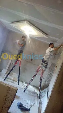 Placoplatre faux plafond BA13