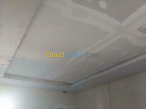 Placoplatre faux plafond BA13