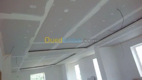 Placoplatre faux plafond BA13