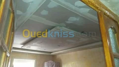 Placoplatre faux plafond BA13