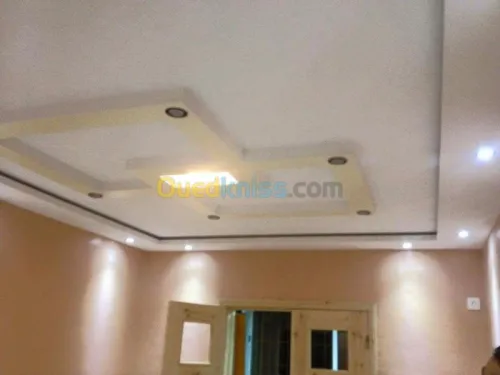 Placoplatre faux plafond BA13