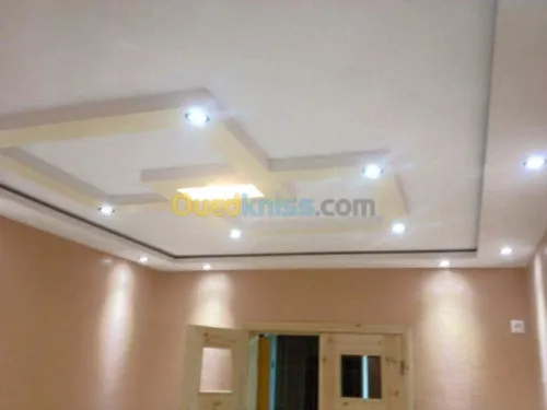 Placoplatre faux plafond BA13