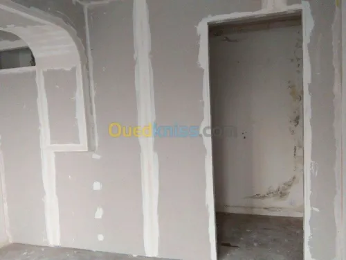 Placoplatre faux plafond BA13