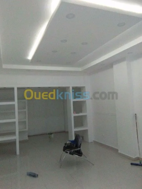Placoplatre faux plafond BA13