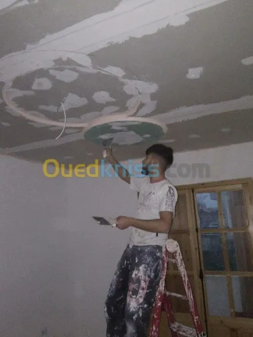 Placoplatre faux plafond BA13
