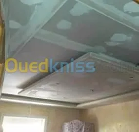 Placoplatre faux plafond BA13