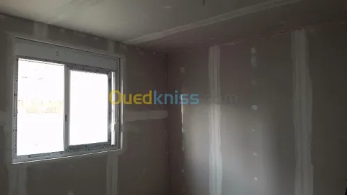 Placoplatre faux plafond BA13
