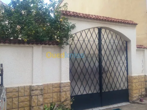 Fabrications de portails metalliques