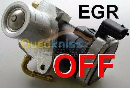 ADBLUE OFF/FAP OFF/EGR OFF/CHIPTUNIG
