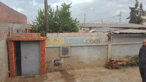 Vente Appartement F4 Chlef Oum drou