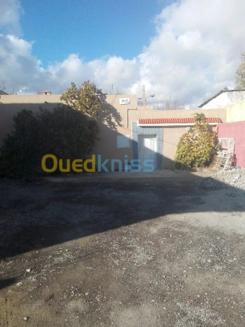 Vente Villa Batna Timgad