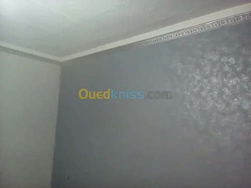 Peintre professionnel 