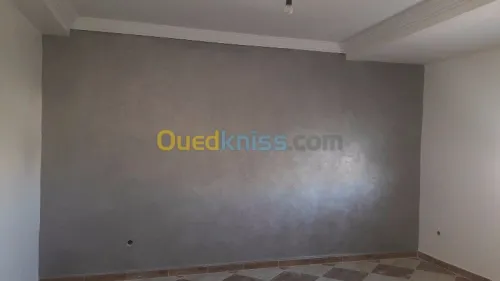 Peintre professionnel 