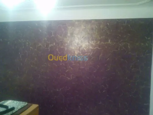 Peintre professionnel 