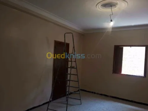 Peintre professionnel 