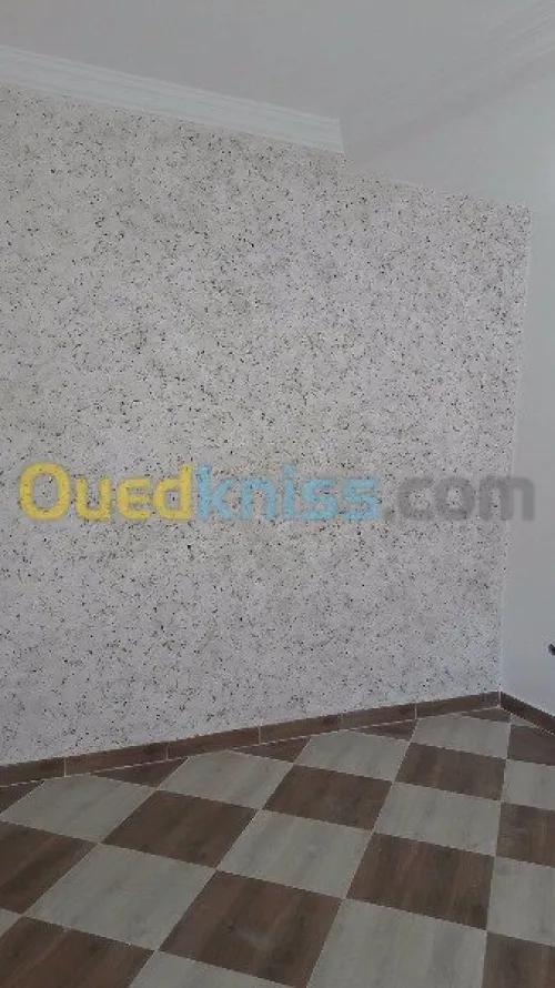 Peintre professionnel 