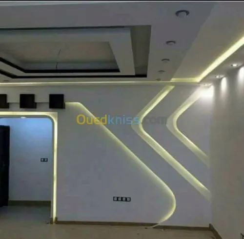  placoplatr et pvc et Peintures
