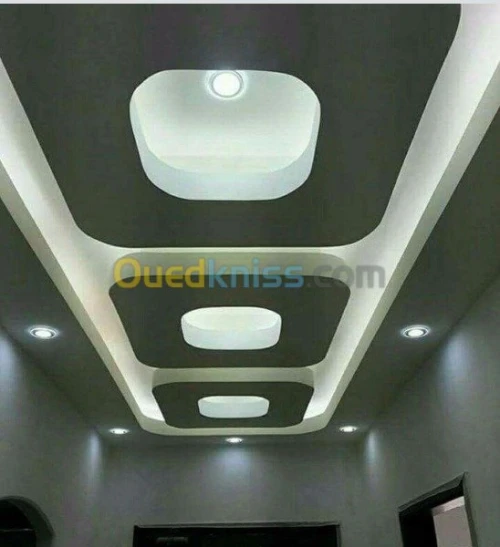  placoplatr et pvc et Peintures