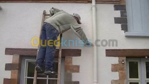 Peintures décoratives 