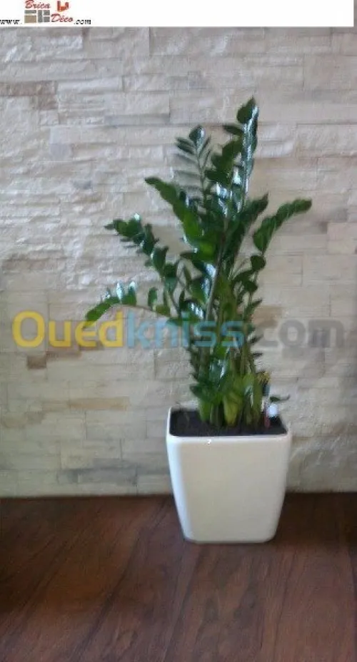 Pierre Decorative