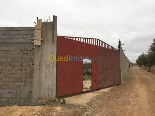 Vente Usine Tlemcen Hennaya