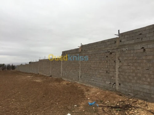 Vente Usine Tlemcen Hennaya