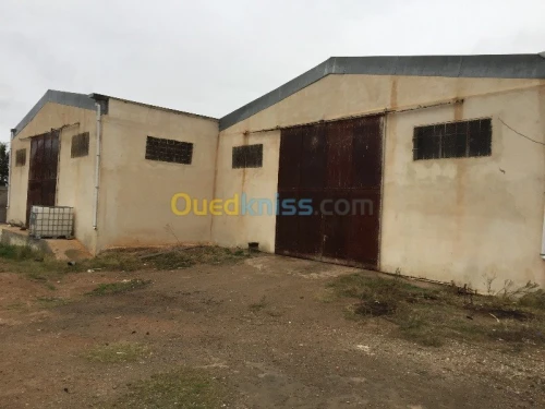 Vente Usine Tlemcen Hennaya