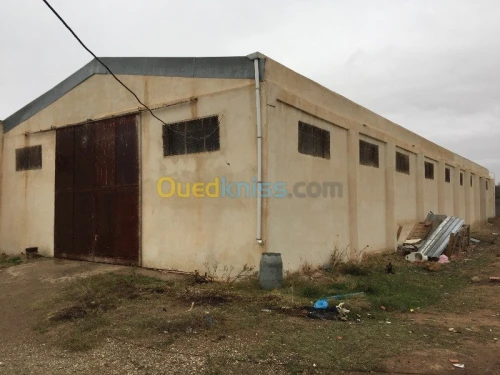 Vente Usine Tlemcen Hennaya