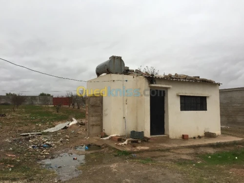 Vente Usine Tlemcen Hennaya
