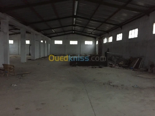 Vente Usine Tlemcen Hennaya